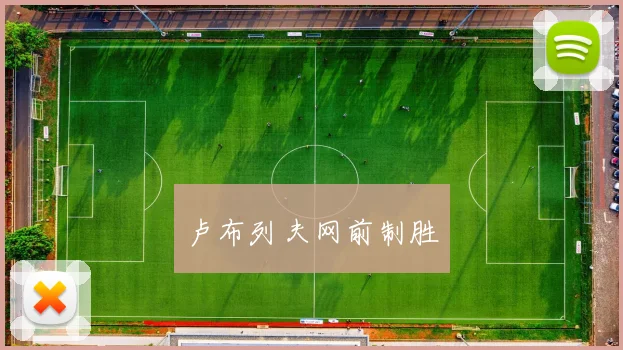 卢布列夫网前制胜