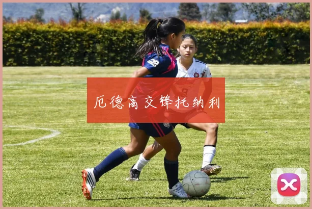 厄德高交锋托纳利