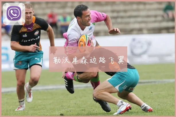 勒沃库森边路飞翼
