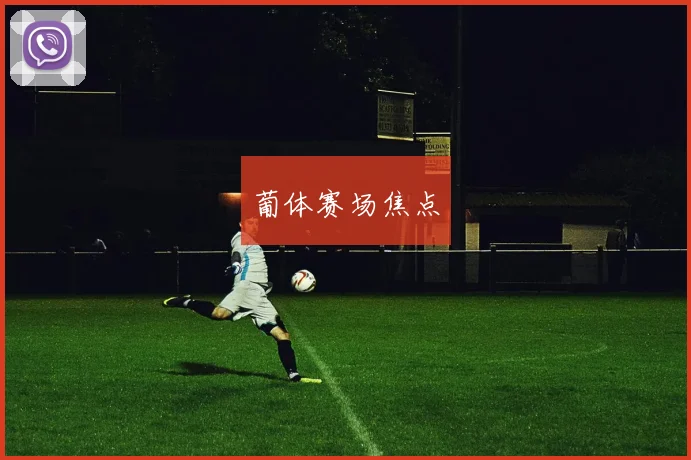 葡体赛场焦点