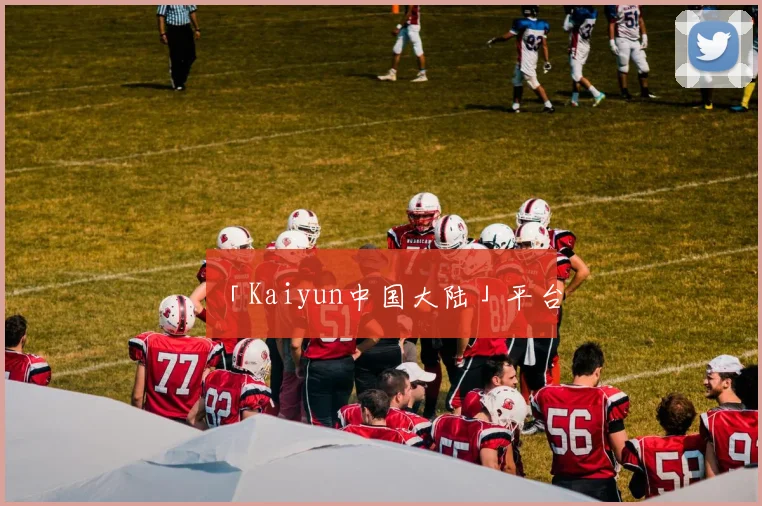 「Kaiyun中国大陆」平台
