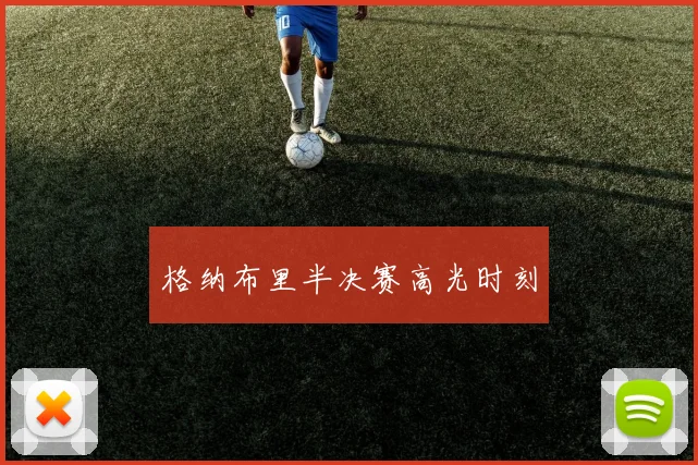 格纳布里半决赛高光时刻