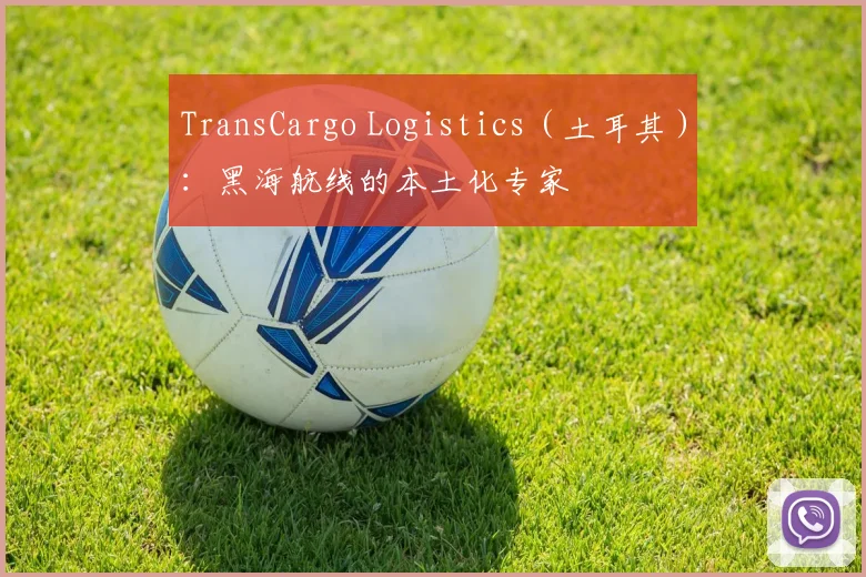 TransCargo Logistics（土耳其）：黑海航线的本土化专家