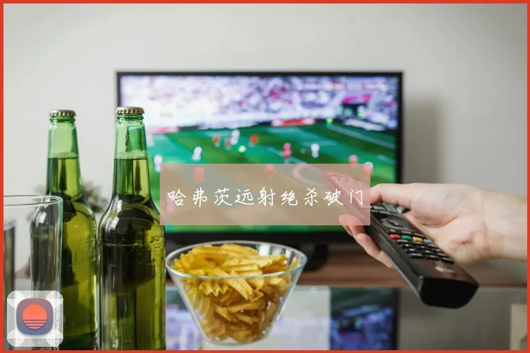 哈弗茨远射绝杀破门