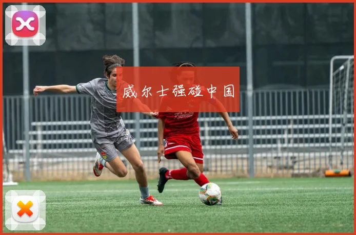 威尔士强碰中国