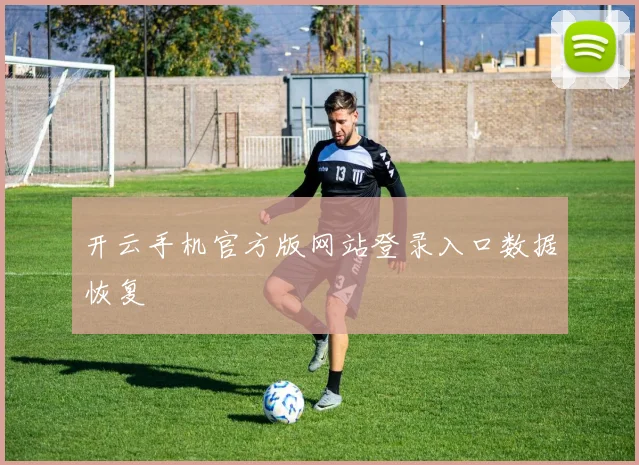开云手机官方版网站登录入口数据恢复