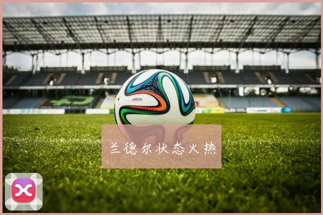 兰德尔状态火热