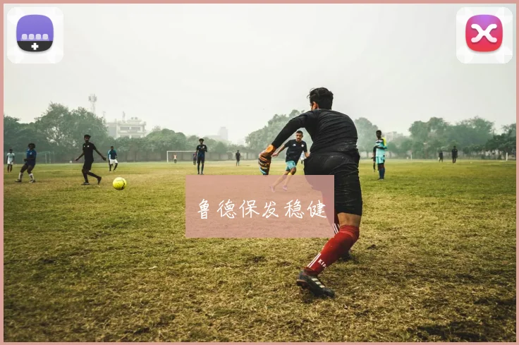 鲁德保发稳健
