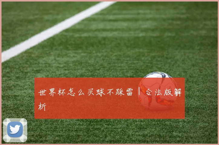 世界杯怎么买球不踩雷｜合法版解析