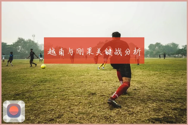 越南与刚果关键战分析