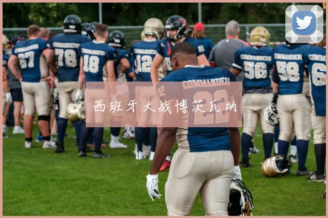 西班牙大战博茨瓦纳