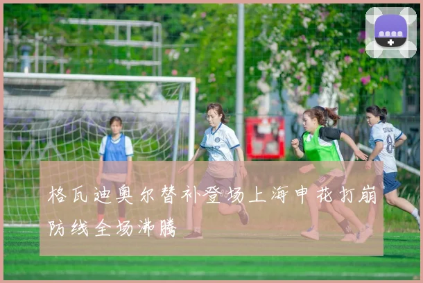 格瓦迪奥尔替补登场上海申花打崩防线全场沸腾