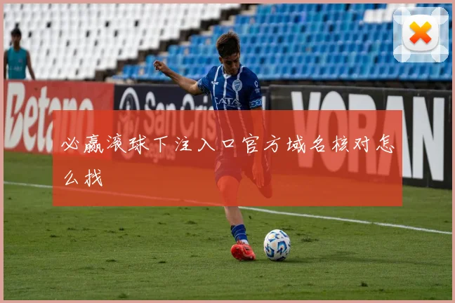 必赢滚球下注入口官方域名核对怎么找