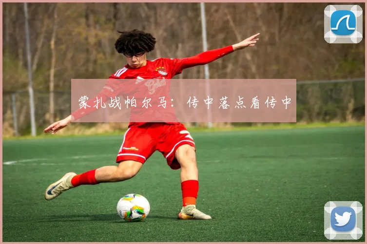 蒙扎战帕尔马:传中落点看传中