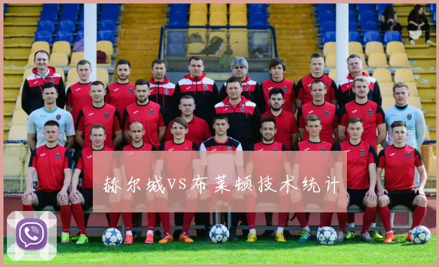赫尔城vs布莱顿技术统计