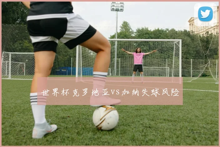 世界杯克罗地亚vs加纳失球风险