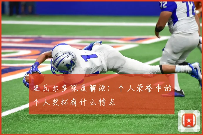 里瓦尔多深度解读：个人荣誉中的个人奖杯有什么特点
